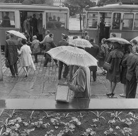 na przystanku tramwajowym