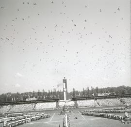 Pokaz gimnastycznym na Stadionie Olimpijskim