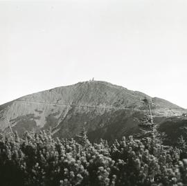 Śnieżka