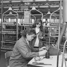 Zakłady Elektrotechniki Motoryzacyjnej