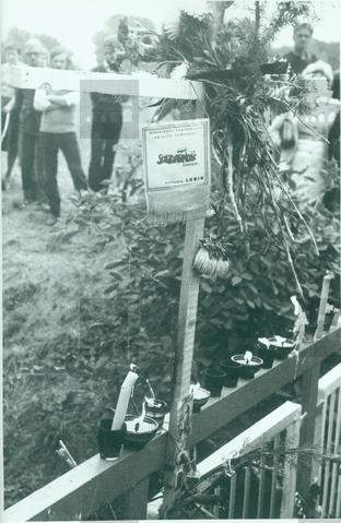 Original Obiekt cyfrowy not accessible