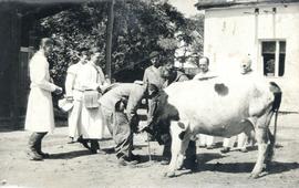 Obrona Cywilna