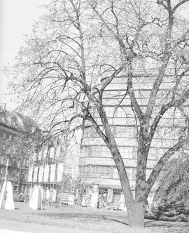 Dom Towarowy PDT we Wrocławiu