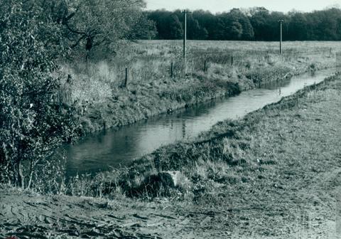 Original Obiekt cyfrowy not accessible